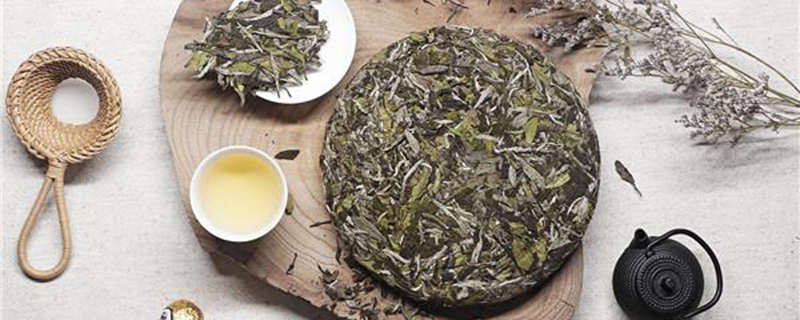 福建白茶是发酵茶吗