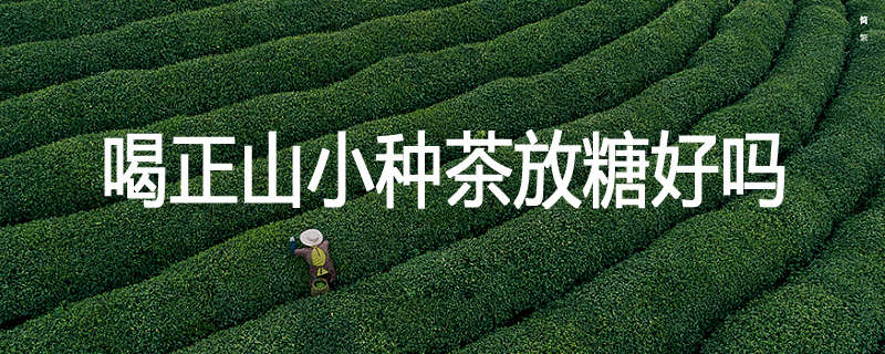 喝正山小种茶放糖好吗