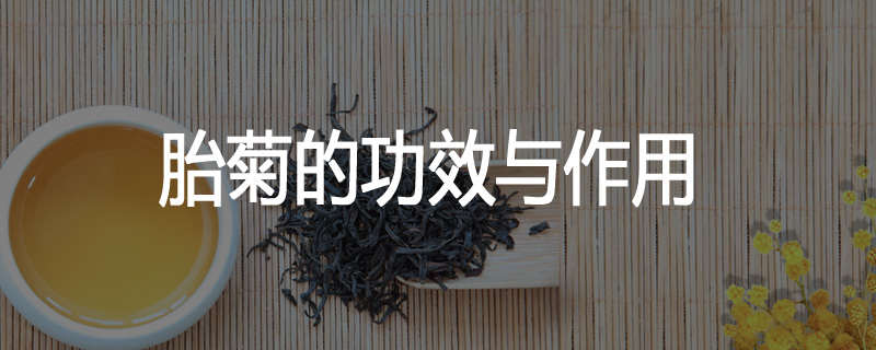 胎菊的功效与作用