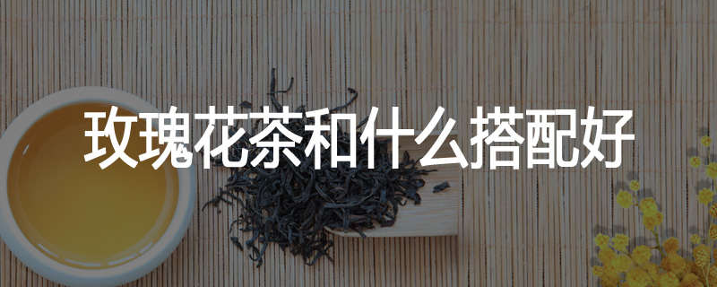 玫瑰花茶和什么搭配好