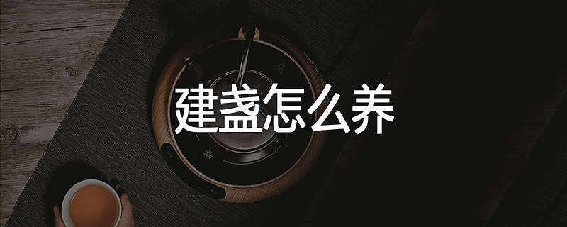 建盏怎么养