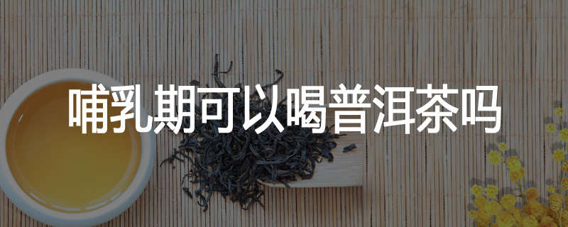 哺乳期可以喝普洱茶吗