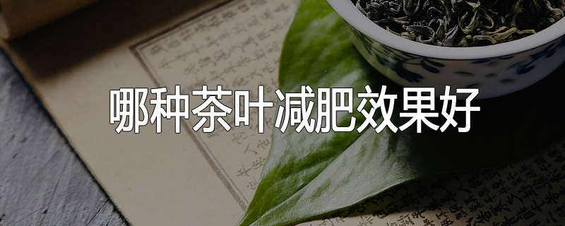 哪种茶叶减肥效果好