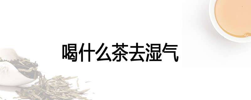 喝什么茶去湿气