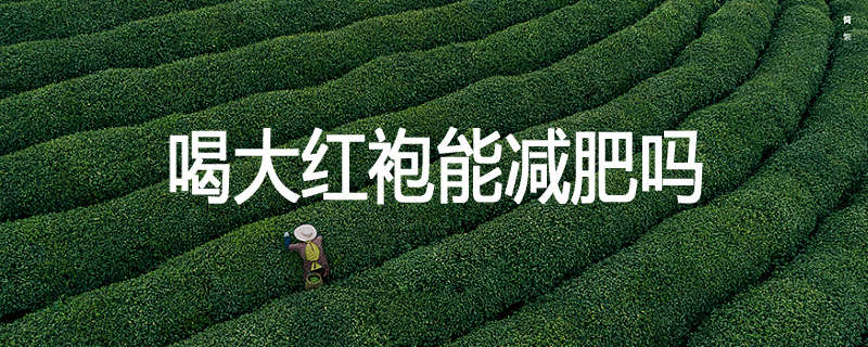 喝大红袍能减肥吗
