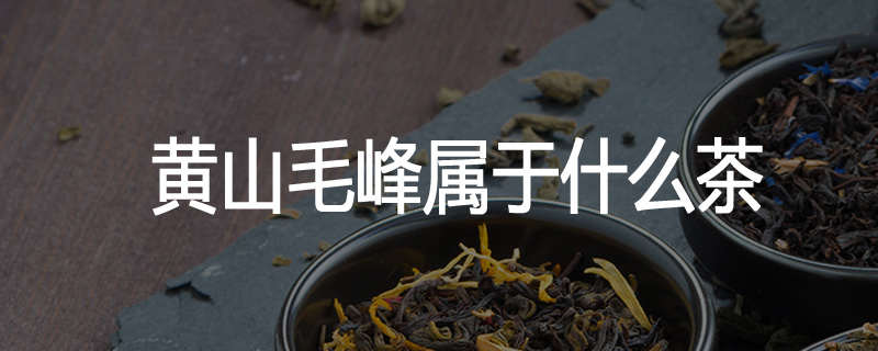 黄山毛峰属于什么茶