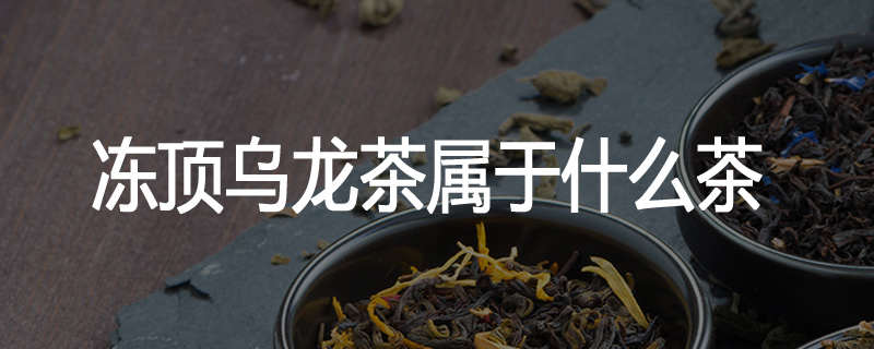 冻顶乌龙茶属于什么茶