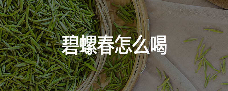 碧螺春怎么喝