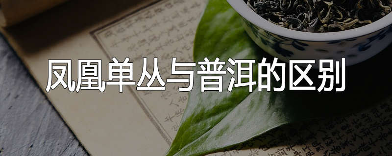 凤凰单丛与普洱的区别