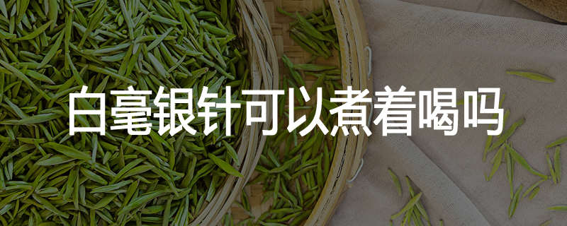 白毫银针可以煮着喝吗