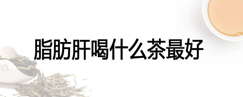 脂肪肝喝什么茶最好