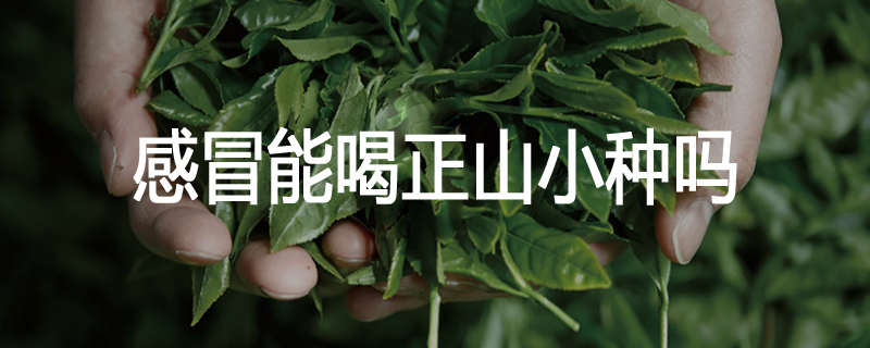 感冒能喝正山小种吗