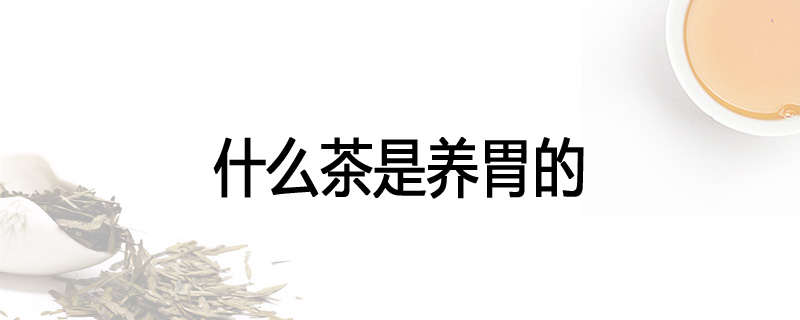 什么茶是养胃的