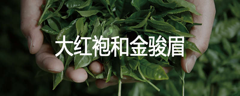 大红袍和金骏眉