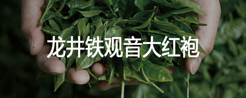 龙井铁观音大红袍