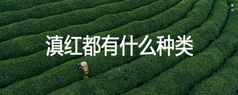 滇红都有什么种类