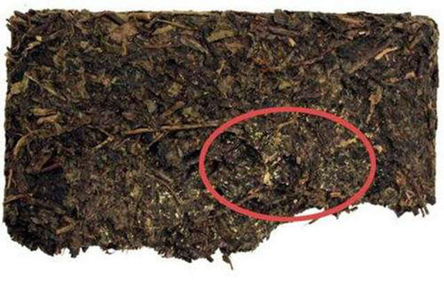 金茯砖茶放多久