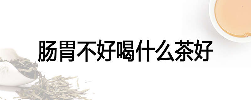 肠胃不好喝什么茶好