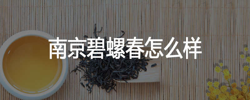 南京碧螺春怎么样