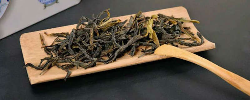 凤凰单丛属于什么茶