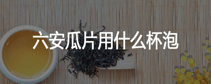 六安瓜片用什么杯泡