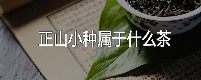 正山小种属于什么茶