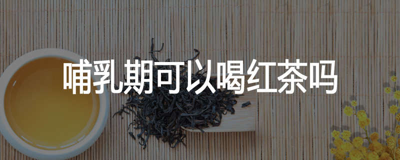 哺乳期可以喝红茶吗