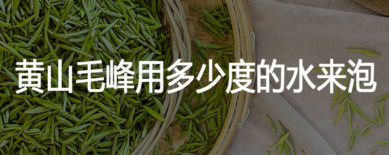 黄山毛峰用多少度的水来泡