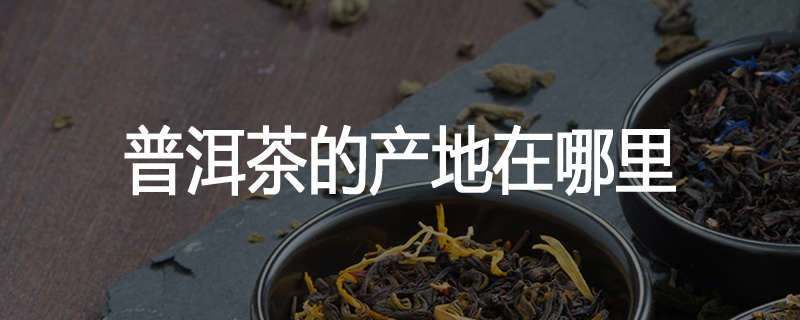 普洱茶的产地在哪里