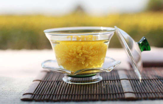 菊花和胎菊哪个下火好