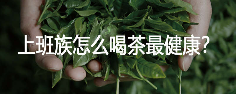 上班族怎么喝茶最健康?