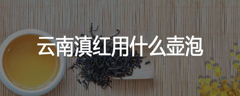 云南滇红用什么壶泡