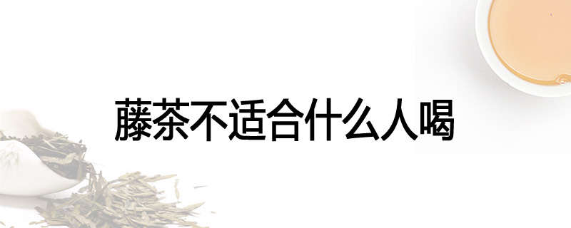 藤茶不适合什么人喝
