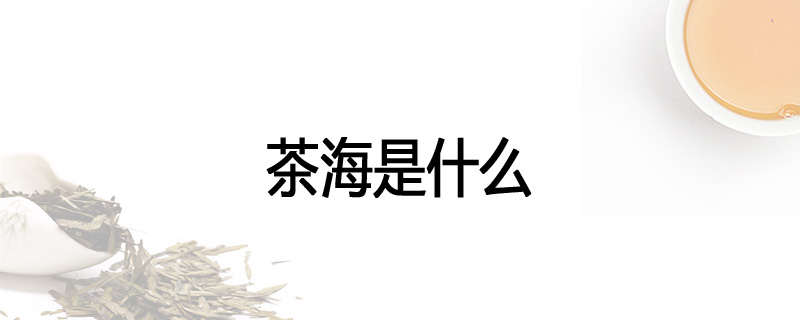 茶海是什么
