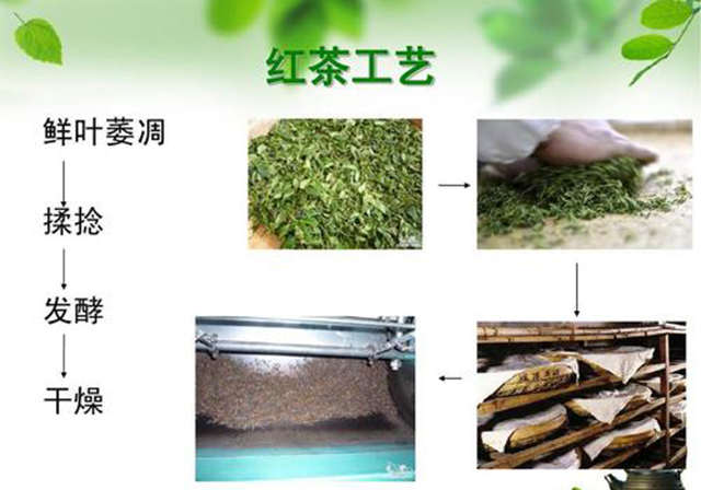 制作红茶需要多久