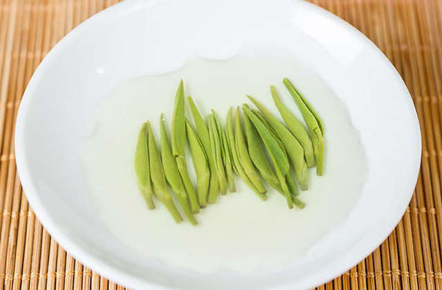 雀舌可以泡多久