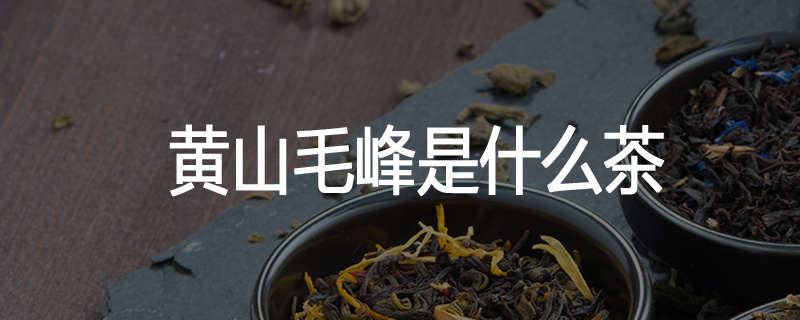 黄山毛峰是什么茶