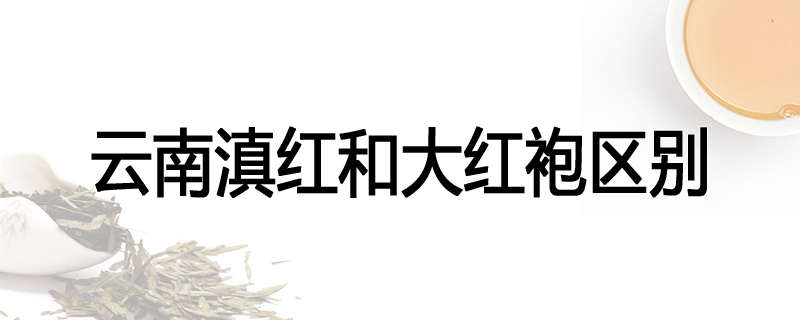 云南滇红和大红袍区别