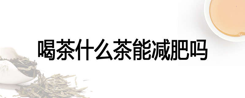 喝茶什么茶能减肥吗