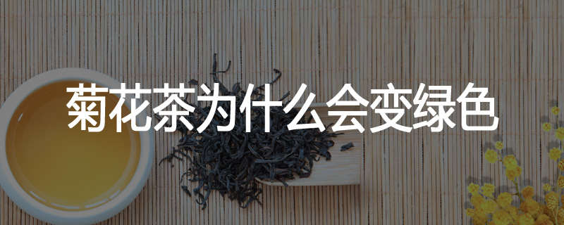 菊花茶为什么会变绿色