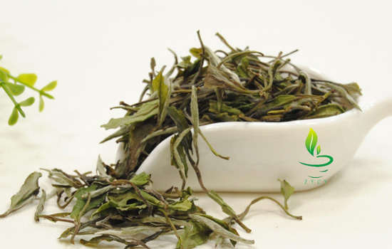 胃不好可以喝白牡丹茶吗