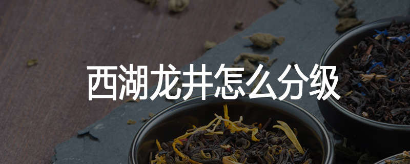 西湖龙井怎么分级
