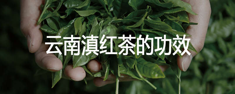云南滇红茶的功效