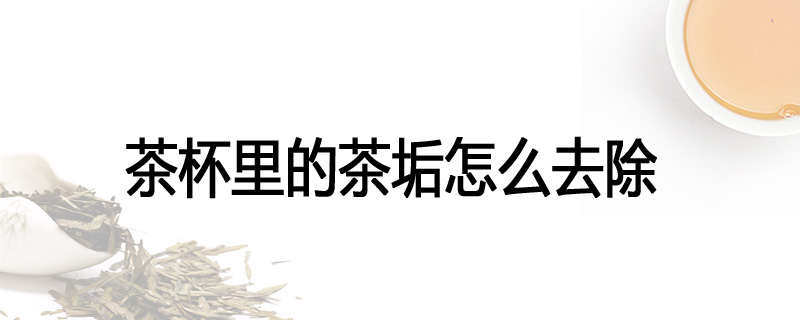 茶杯里的茶垢怎么去除