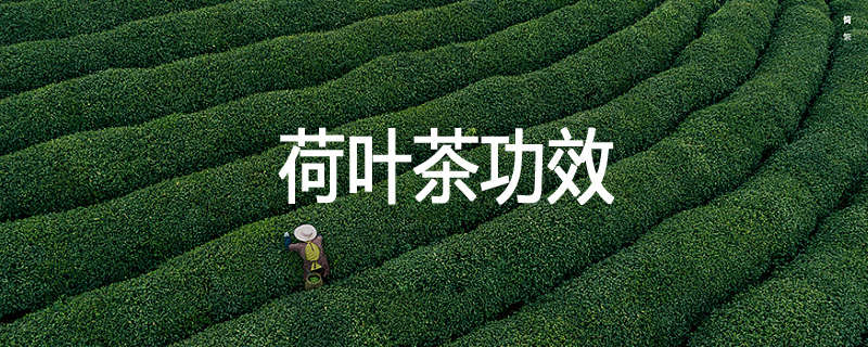 荷叶茶功效