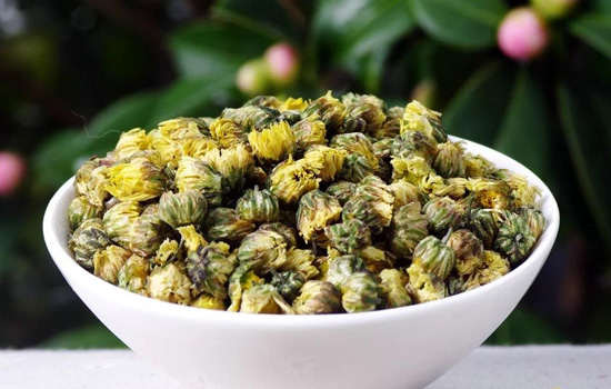 白胎菊保质期多少