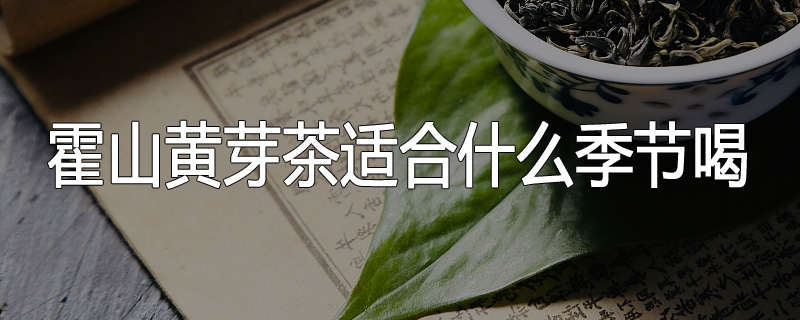 霍山黄芽茶适合什么季节喝