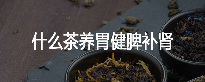 什么茶养胃健脾补肾