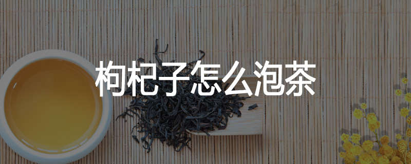 枸杞子怎么泡茶