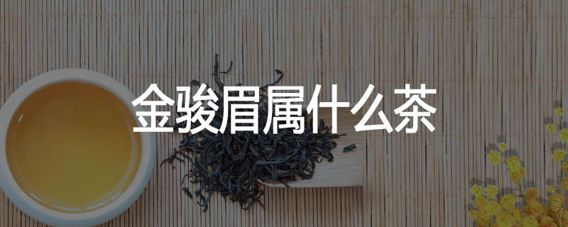 金骏眉属什么茶